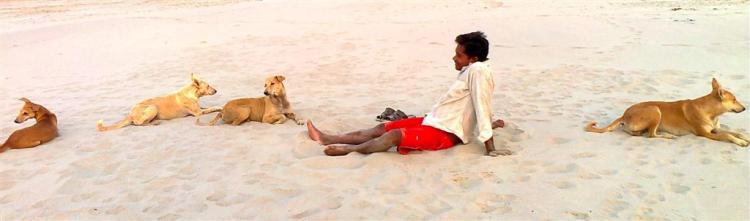 श्वान मित्र संजय - यह ढाई साल पहले की पोस्ट का एक चित्र है। 