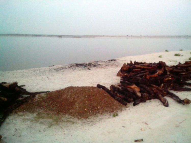 कच्ची शराब बनाने का क्षेत्र। अधजली लकड़ियां। छोटे ढूह के नीचे संभवत: शराब दबी है। 