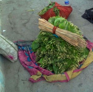 छिउल के पत्ते - पान का बीड़ा बान्धने के लिये।