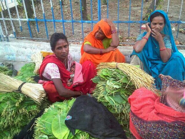 छिउल का पत्ता लिये महिलायें