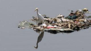 द हिन्दू के ओरीजनल आर्टीकल में चित्र 