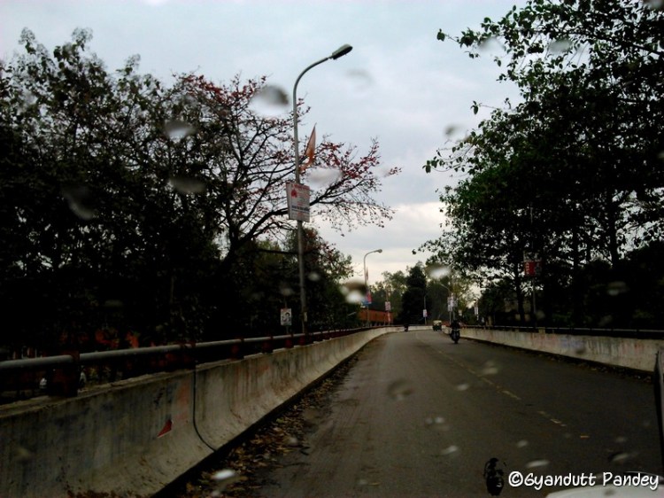 बड़े कृक्षों वाली रेलवे कालोनी।