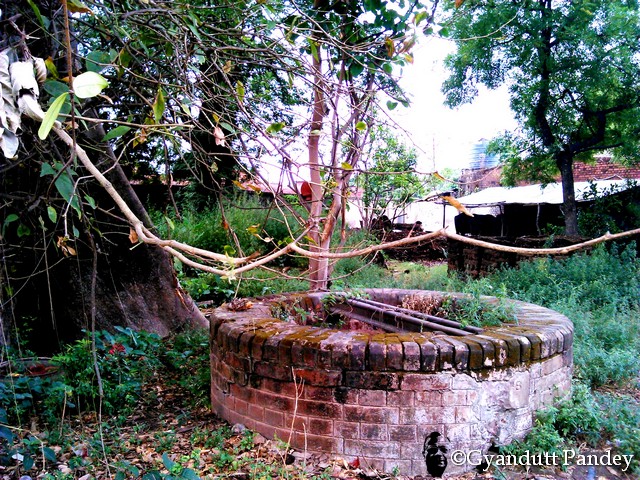 इन्दारा, पीपल और बांयी ओर सेमल के विशाल तने का अंश। 