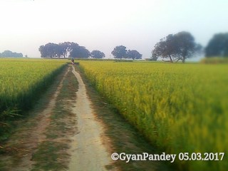 gdmar165403_edited_wm