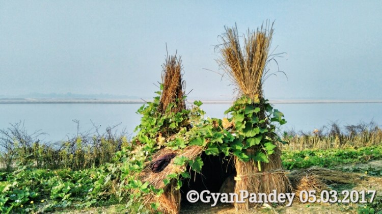 img_20170305_071745-01_wm