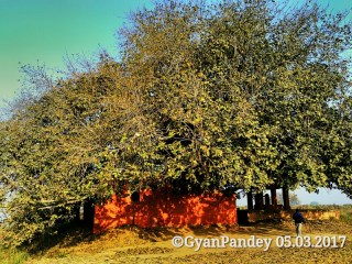 img_20170305_074131_edited_wm