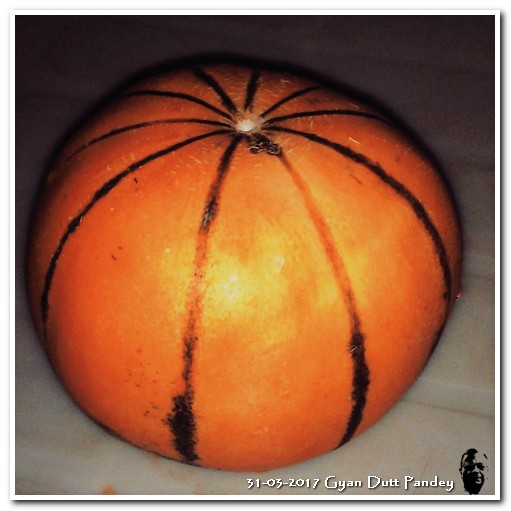 IMG_20170331_135659_124