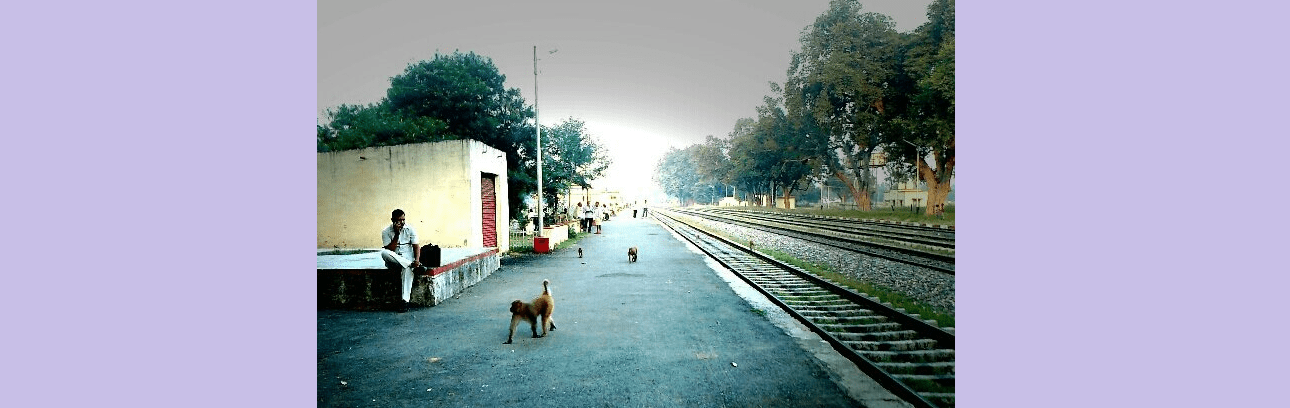 madhosingh railway station platform