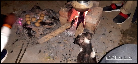 Puppy near fireplace