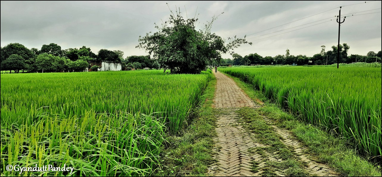 Old and new khadanja 