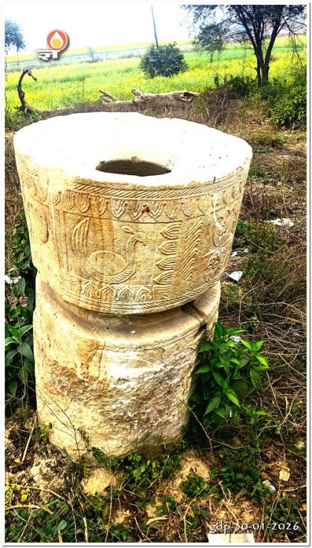 समूचे कोल्हू का चित्र